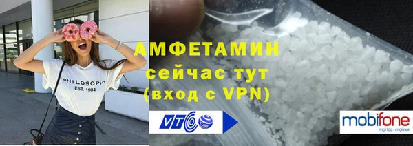 индика Абаза