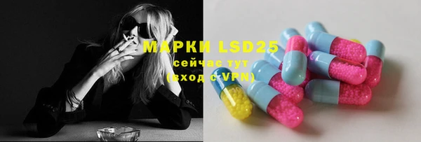 индика Абаза