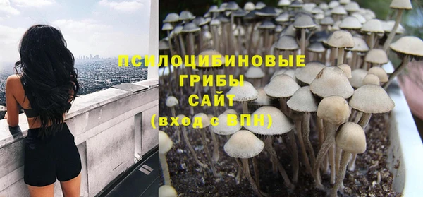 бутират Алзамай