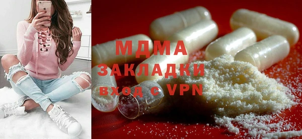 индика Абаза