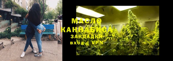 индика Абаза