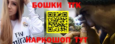 крисы Керчь