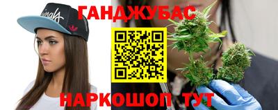 крисы Керчь