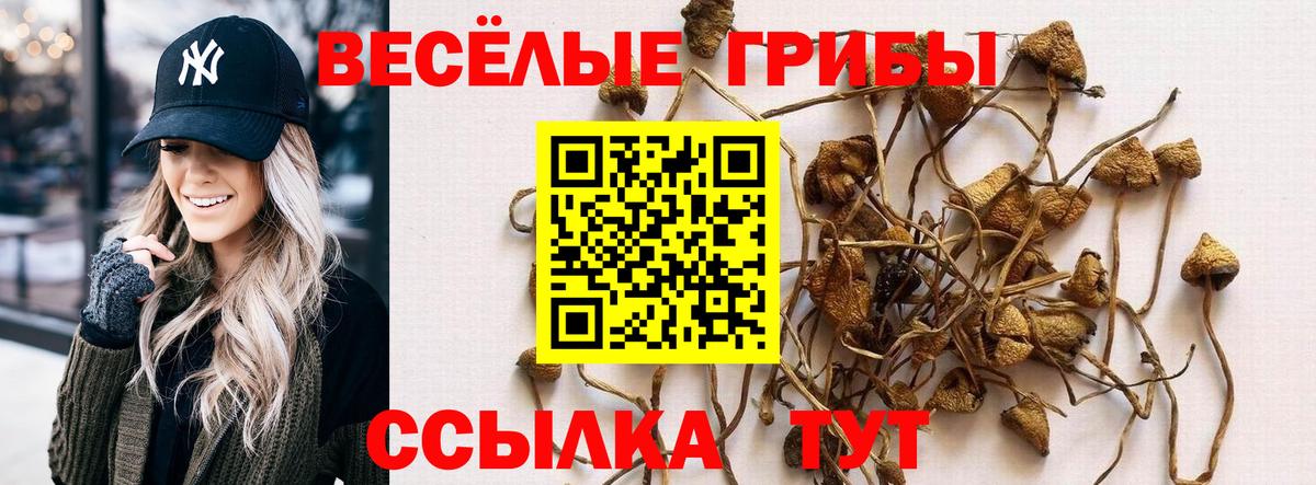 Галлюциногенные грибы MAGIC MUSHROOMS  Вход с VPN  Галлюциногенные грибы ЛСД  купить наркотики сайты  Копейск 