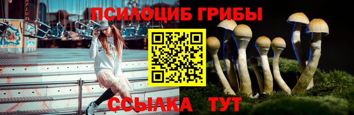 Псилоцибиновые грибы MAGIC MUSHROOMS Копейск